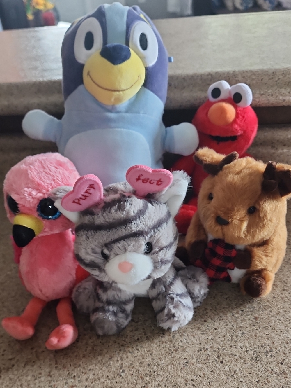 Bundle toys / Plushies  BLUEY/ TY/SESAME STREET & AURORA